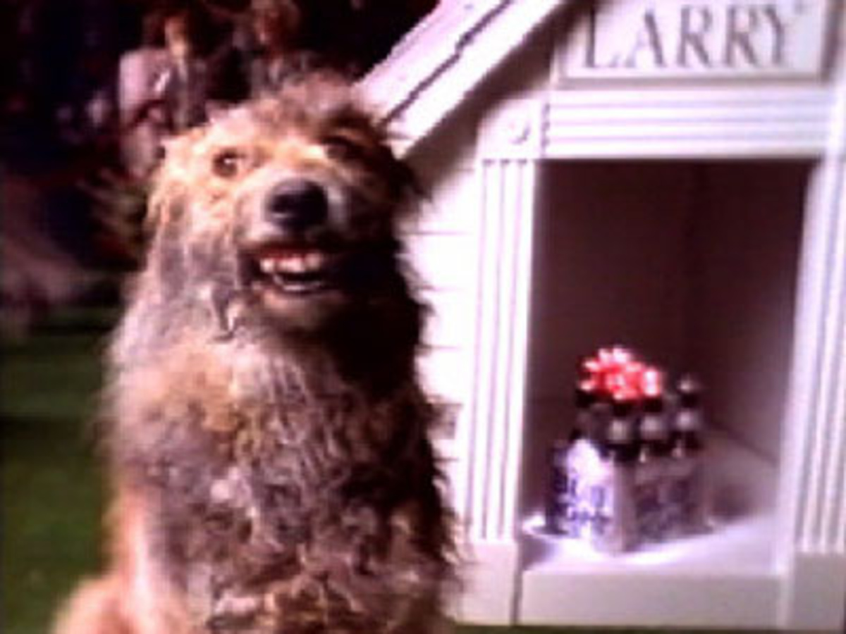 Bud Light Commercial Dog Show Larry Bud Light Commercial Dog Show Larry