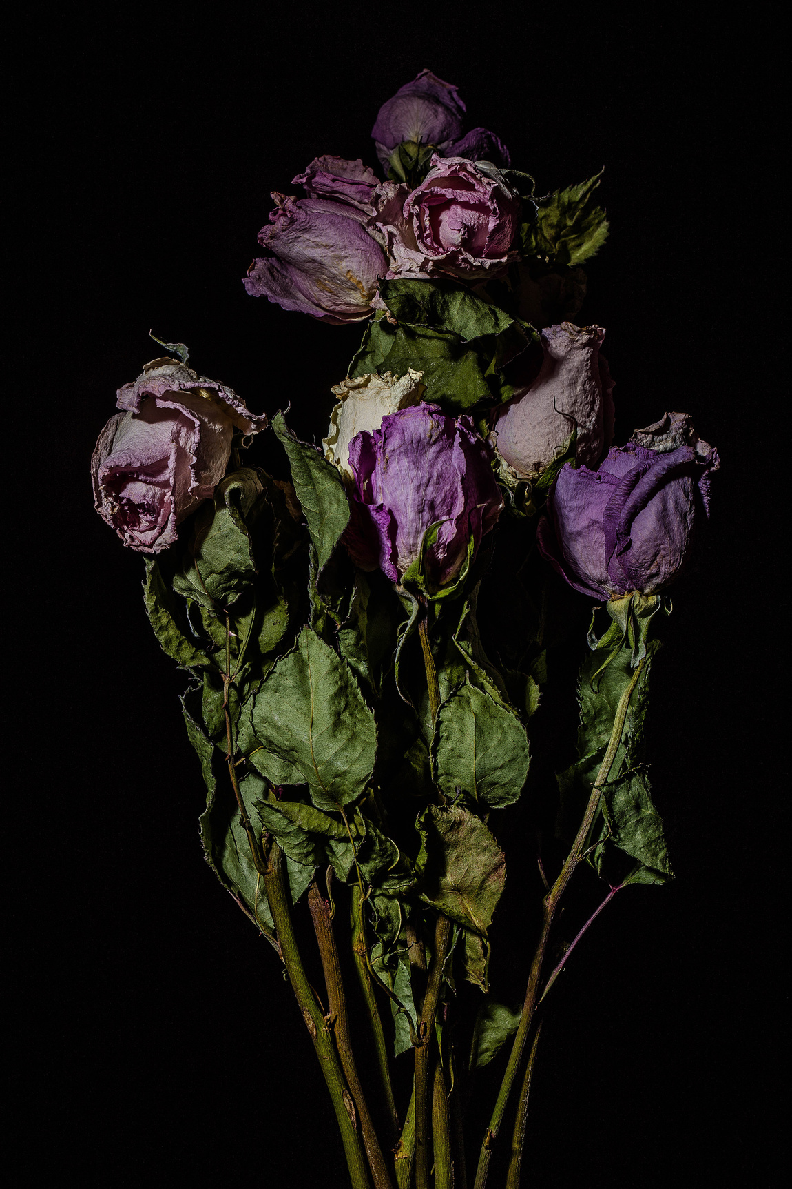 Lürzer's Archive Will Strawser