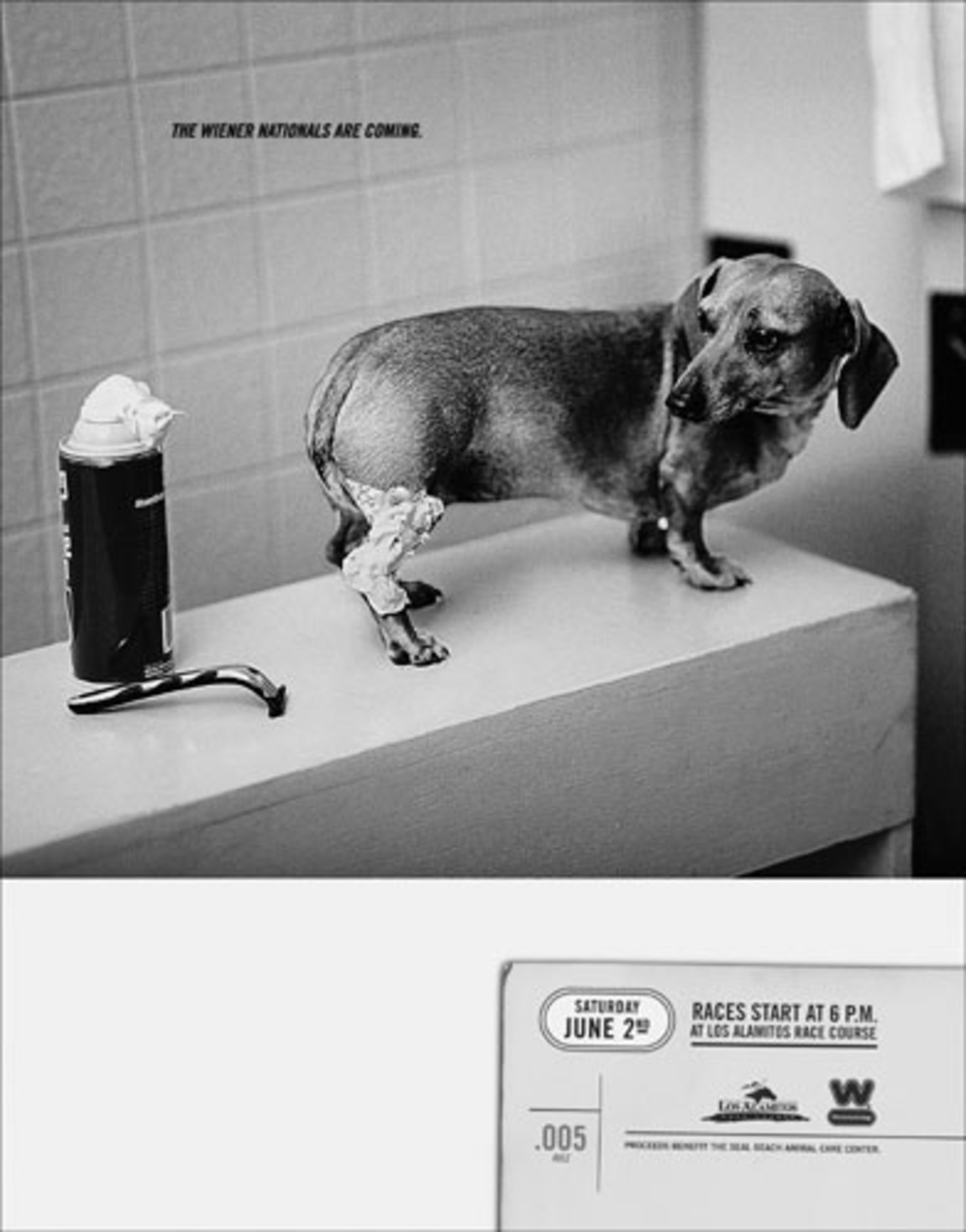 Lürzer's Archive Wienerschnitzel